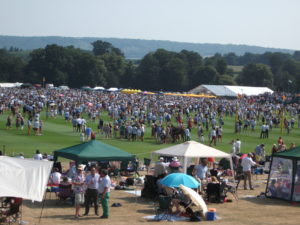 crowd of people on a polo field