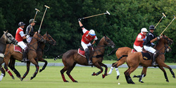 a polo player in action