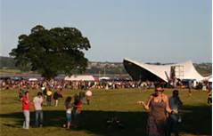 the audience in front of an outdoor music stage
